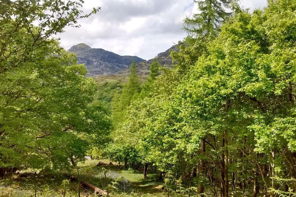 Mountain Walks Straight From The Doorstep Vila Blaenau Ffestiniog Exterior foto
